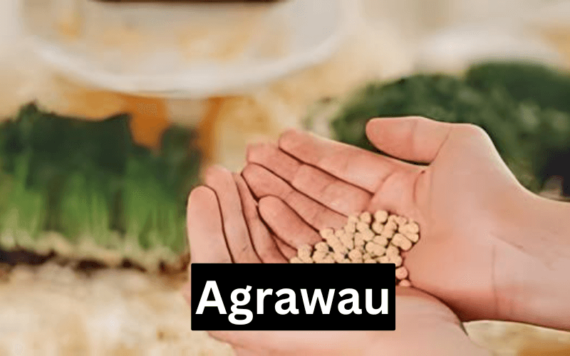 Agrawau: A Promising Solution for Sustainable Agriculture